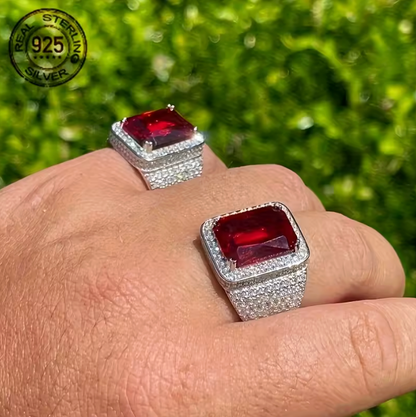 2026 New Arrival Luxury 925 Sterling Silver Rings Red Zircon Stone - DripVault